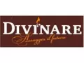 Divinare