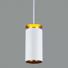 DLS021 9+4W 4200К белый матовый/золото