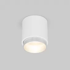 25032/LED 10W 4200K белый/серебро