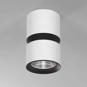 25049/LED