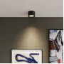 25123/LED