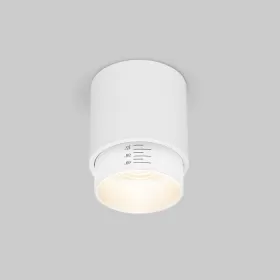 25032/LED 10W 4200K белый