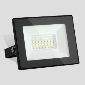 026 FL LED 30W 6500K IP65