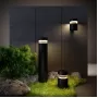 1530 TECHNO LED  черный