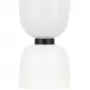 MOD177PL-01W