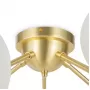 MOD545CL-20BS