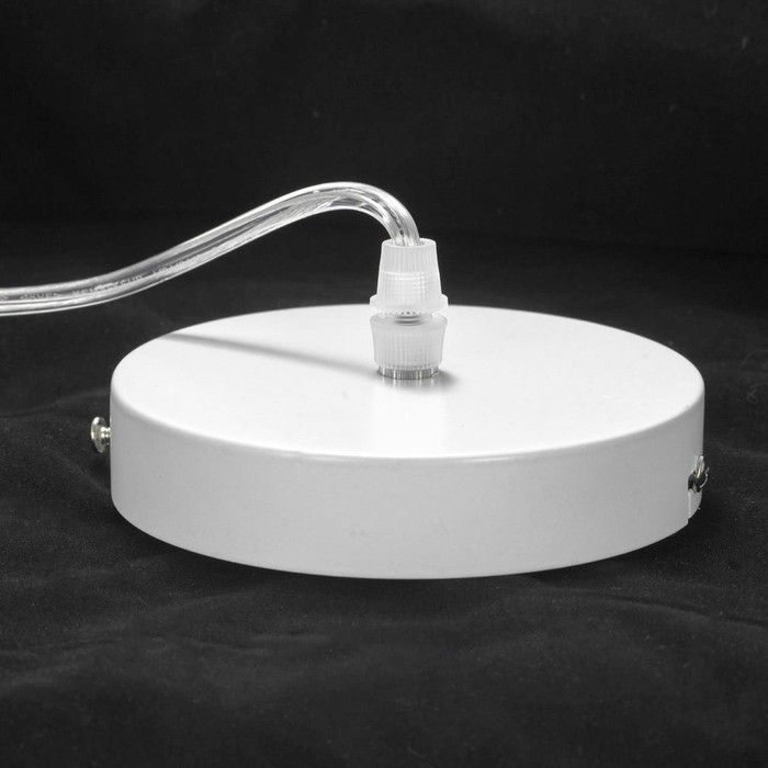 LSP-8268-CL