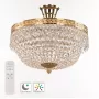 19011/35IV/LED-DIM G