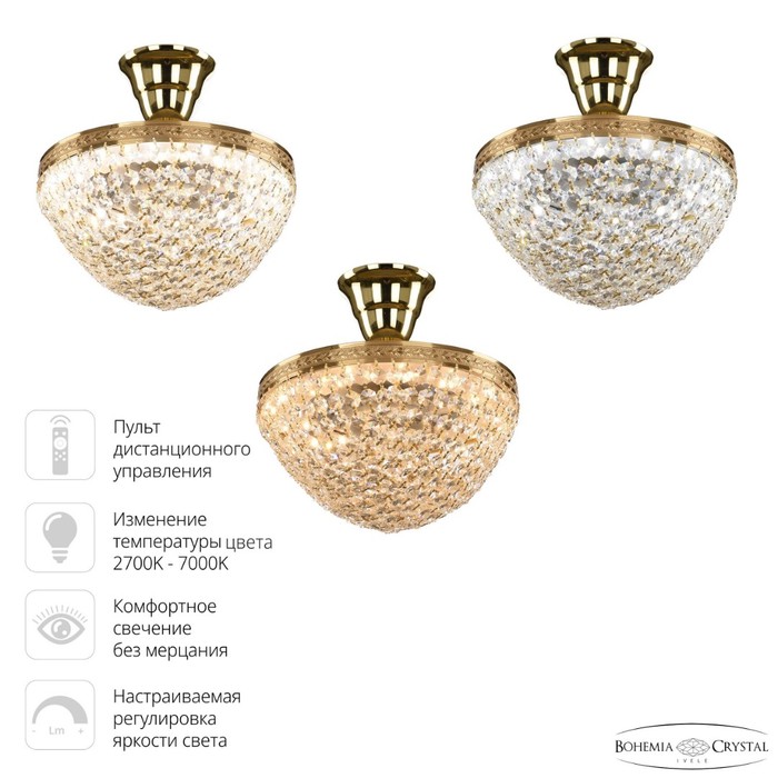 19321/25IV/LED-DIM G