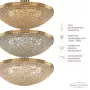19321/55IV/LED-DIM G