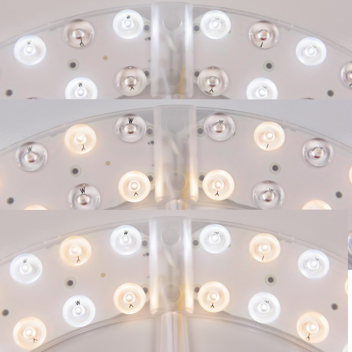 19321/25IV/LED-DIM Ni