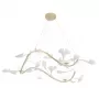 COLIBRI SP6 GOLD