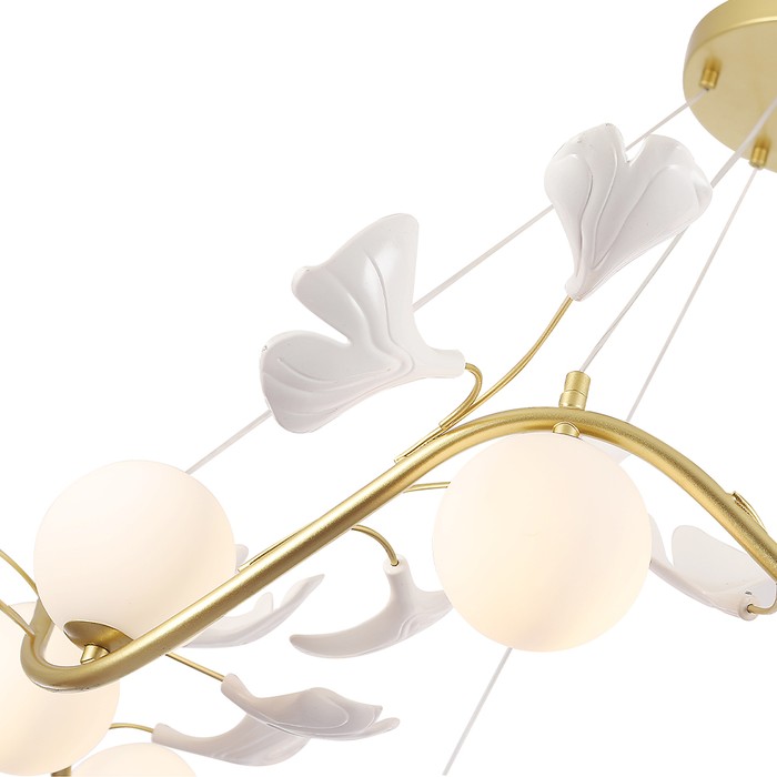 COLIBRI SP10 GOLD