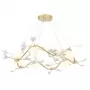 COLIBRI SP10 GOLD