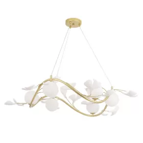 COLIBRI SP6 GOLD