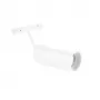 CLT 0.33 003 12W WH 4000K