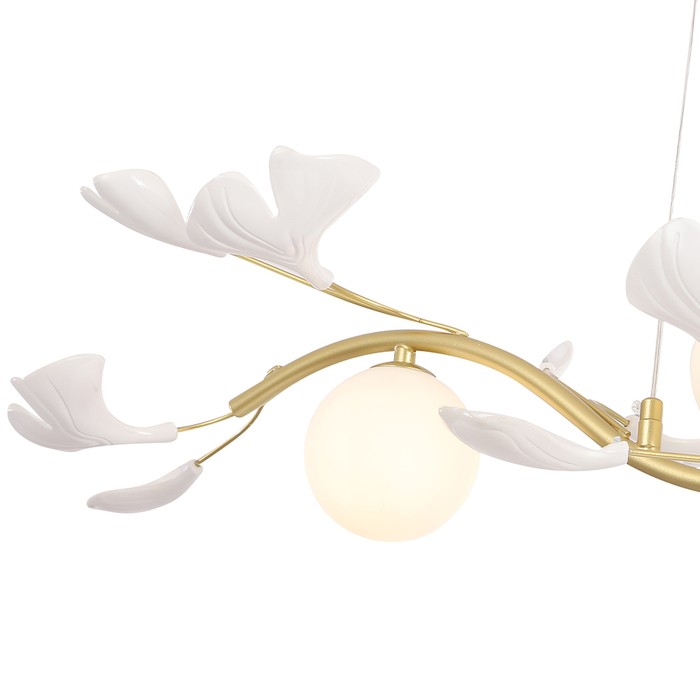 COLIBRI SP4 GOLD