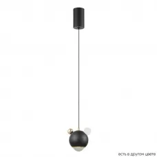 AMIGO SP LED BLACK