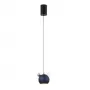 AMIGO SP LED BLUE