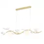 COLIBRI SP4 GOLD