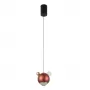 AMIGO SP LED RED