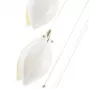 FLOWERS SP9