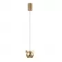 AMIGO SP LED GOLD