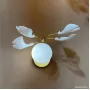 COLIBRI AP1 GOLD