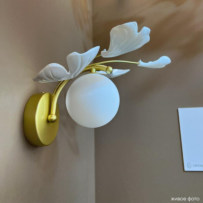 COLIBRI AP1 GOLD