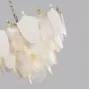 5051/21