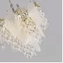 5049/11