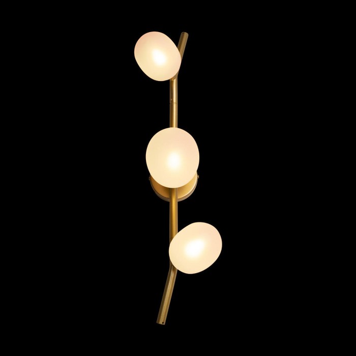 10212W Gold