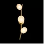 10212W Gold