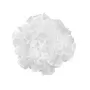 10231/530C White