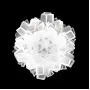 10231/530C White