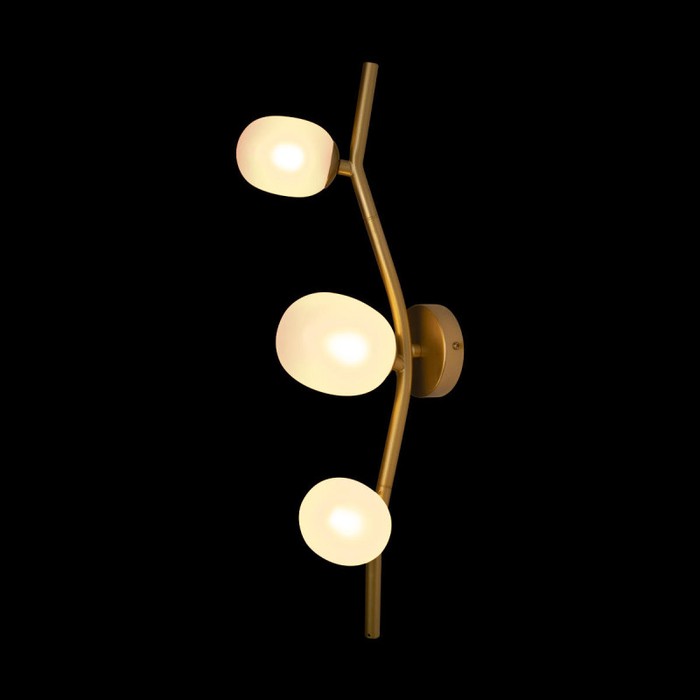 10212W Gold
