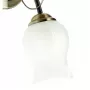 256028401