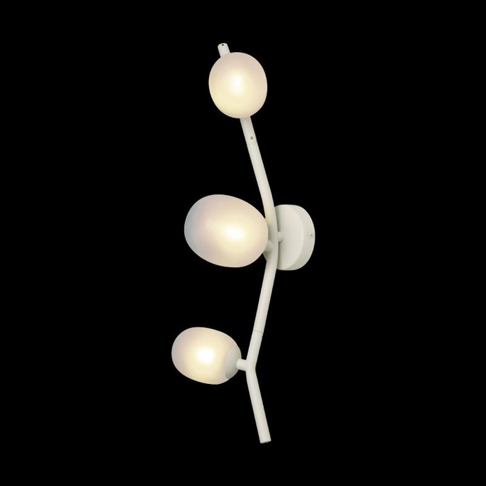 10212W White