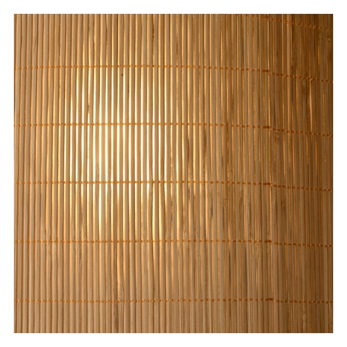 03529/81/30