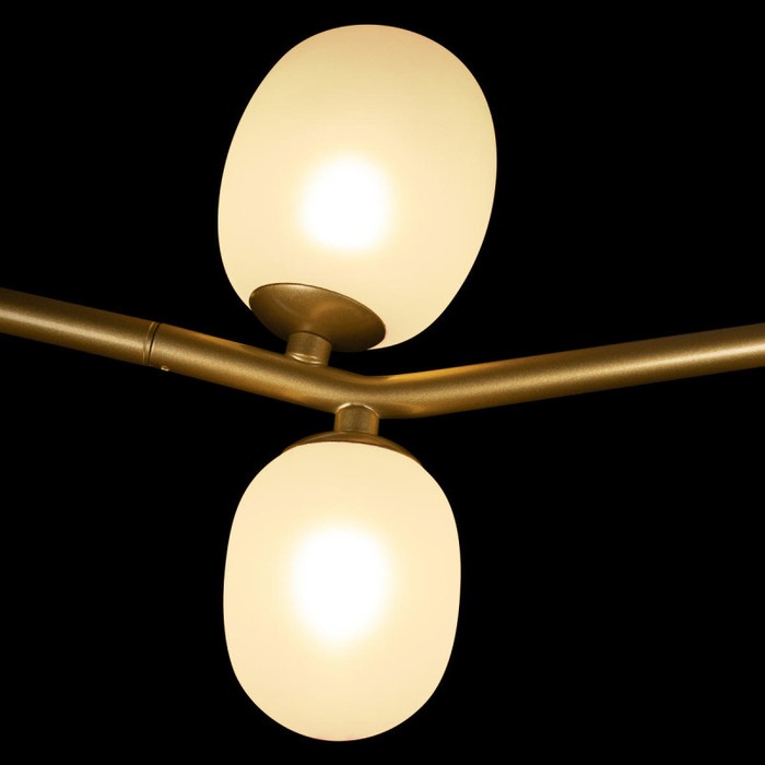 10212/8L Gold