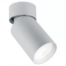 41876