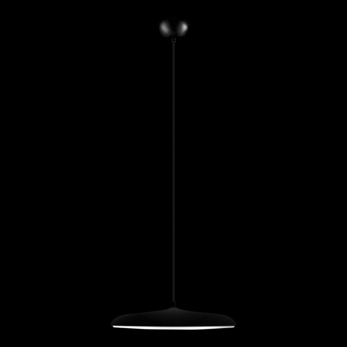 10119 Black