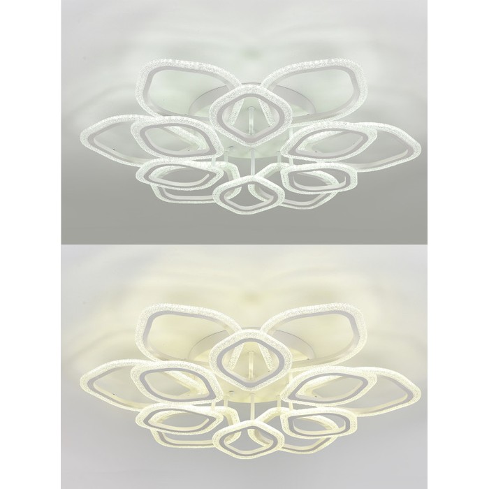 LED LAMPS 81193