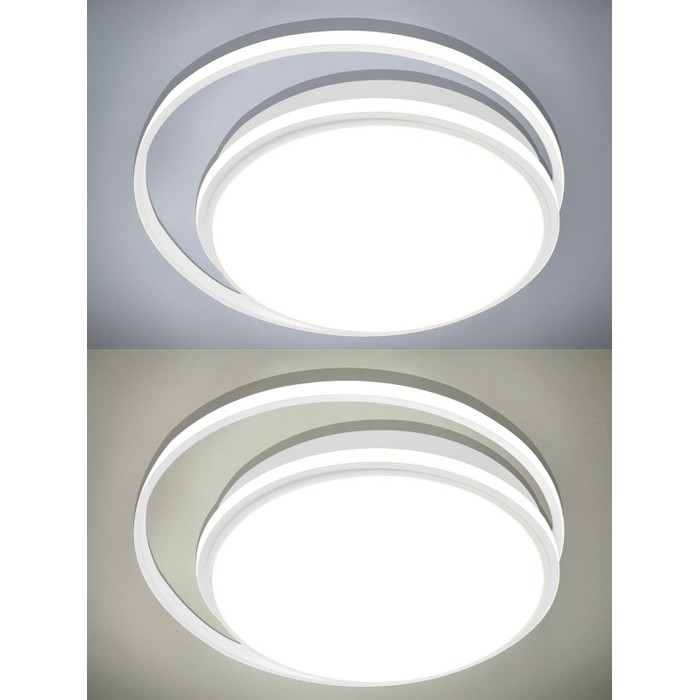 LED LAMPS 81186
