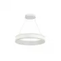LED LAMPS 81187