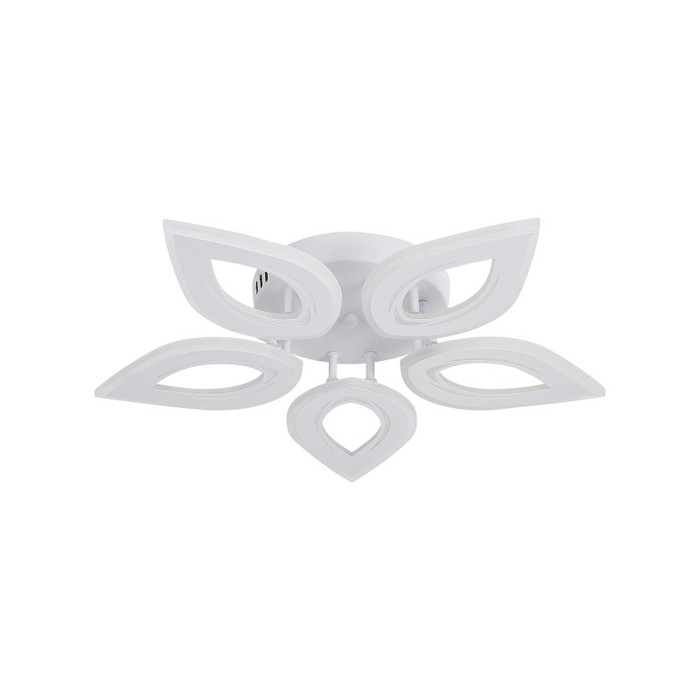 LED LAMPS 81123/5C