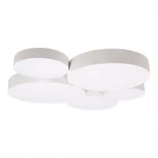 10218 White