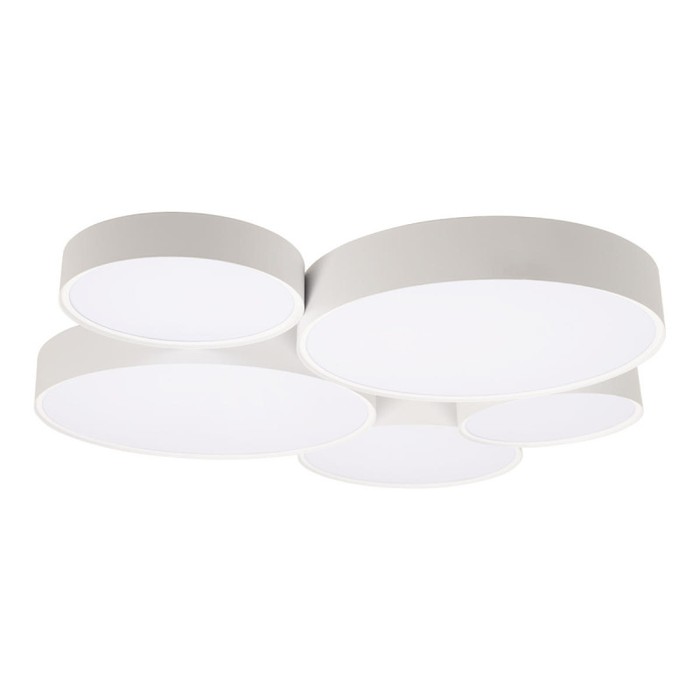 10218 White
