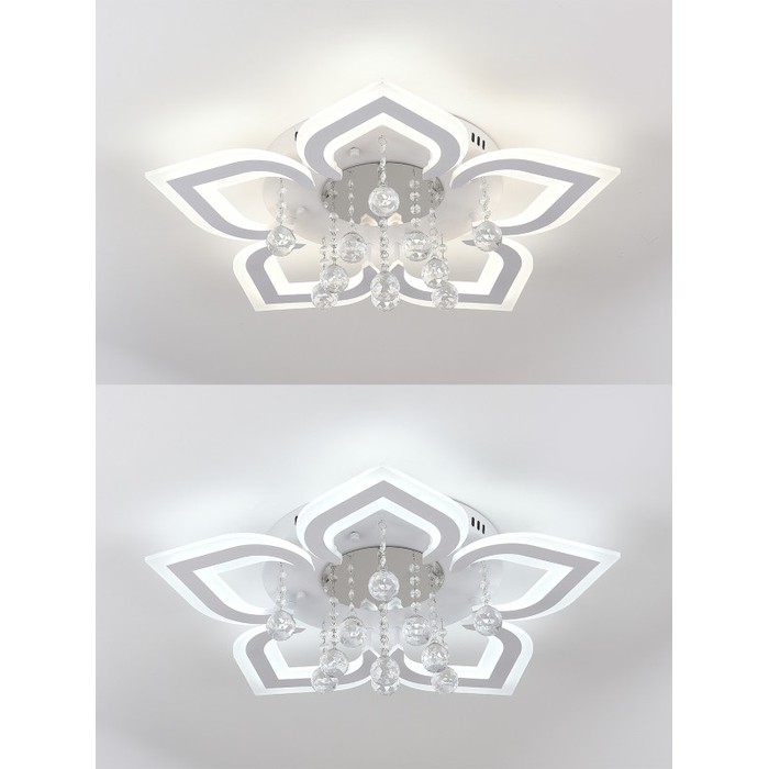 LED LAMPS 81159