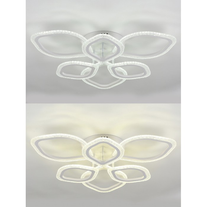 LED LAMPS 81192